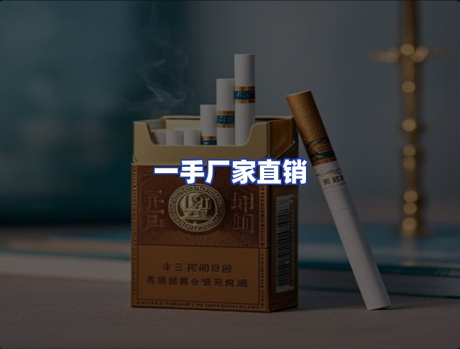 专业团队